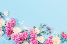 White And Pink Chrysanthemums On Blue Paper Background