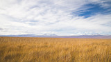 Fototapeta Sawanna - Atacama Desert Valley