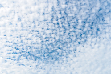 Wall Mural - Background A lot of beautiful Small Fluffy Clouds with blue sky in the morning