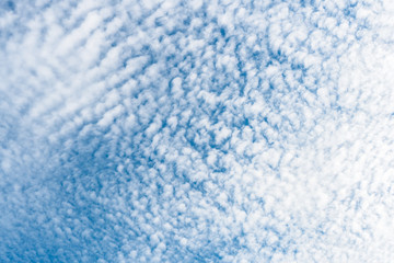 Wall Mural - Background A lot of beautiful Small Fluffy Clouds with blue sky in the morning