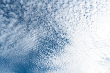 Wall Mural - Background A lot of beautiful Small Fluffy Clouds with blue sky in the morning
