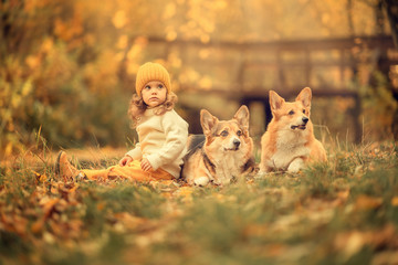 adorable girl sitting on the ground with dogs in the park