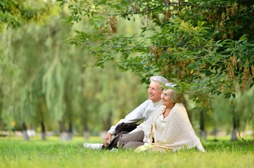 Poster - Portrait of elderly couple having a picnic in the summer