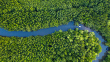 Aerial Top View Of Boat On The River In Mangrove Forest Conservation In Thailand