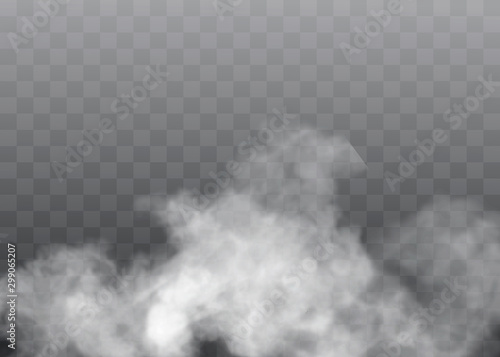 Fotomural Transparent special effect stands out with fog or smoke