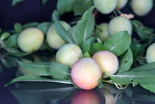 The Mirabelle, Also Called Yellow Plum, Is A Subspecies Of The Plum.