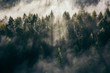 Leinwandbild Motiv Der Teutoburger Wald im Nebel