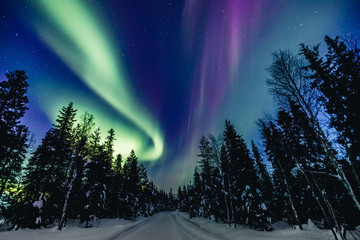 colorful polar arctic northern lights aurora borealis activity in snow winter forest in finland
