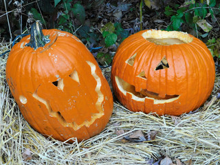 Two Pumpkins In Hay