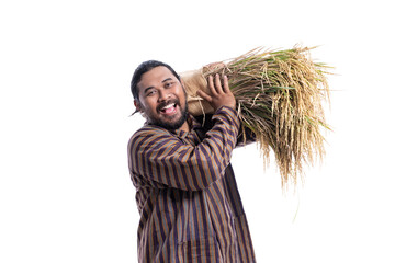 Wall Mural - happy asian farmer with paddy rice grain during harvesting isolated over white background