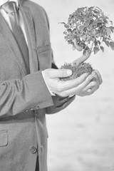 Young businessman holding plant against wall at office