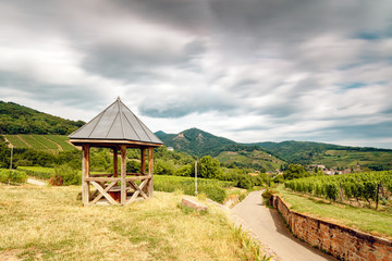 Wall Mural - walk through the French vineyards of Alsace