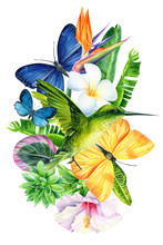 Tropical Flowers And Palm Leaves, Hummingbird Bird, Butterflies, Watercolor Drawing, Jungle Composition