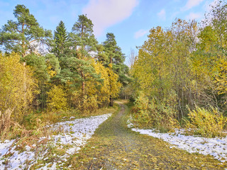 Poster - road in the field. autumn