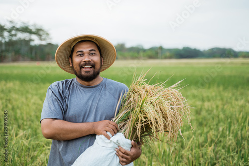 Fotografía excited young farmer after harvesting his rice in the field smiling to camera