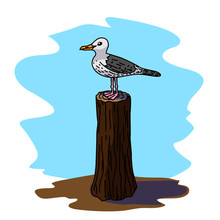 Seagull Vector Illustration