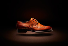 Flying Brown Leather Shoe