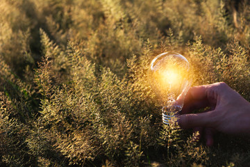 Innovation and energy concept of hand hold a light bulb and copy space for insert text.