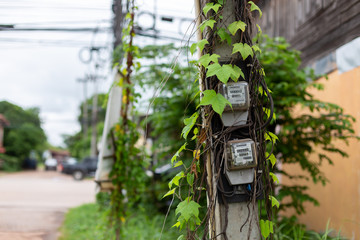 Wall Mural - August 9th 2019 Udon Thani Thailand: Old electricity meter on electricity post in outdoor with .vine nature,The meter is a unit of power reading for Provincial Electricity Authority