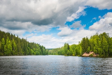Wall Mural - the valley of the forest river going into the distance, cloudy sky, grass cattails in the water.