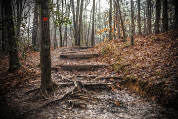  Raven Rock Trail in Raven Rock state park