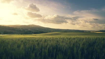 Wall Mural - spring sunset in Tuscany, Italy