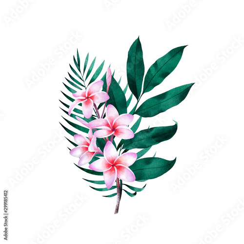 kompozycja-roslin-tropikalnych-i-kwiatow-botaniczne-akwarela-zielone-liscie-egzotyczne-palma-kokosowa-monstera-drzewo-bananowe-plumeria