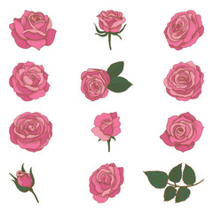 Aufkleber - Set of vector vintage hand drawn roses. Floral sketch in retro style. Botanical illustration isolated on white background.