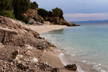 Hidden beach in Bol on emerald sea aerial view, Bol shoreline of Dalmatia, Croatia