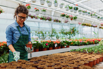 Young woman working in beautiful colorful flower garden greenhouse