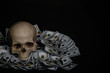 A human skull lies in the dark on money.