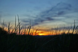 Fototapeta Niebo - Blick auf de Sonnenuntergang  durch Gras