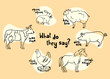 What do they say? - farm animals set