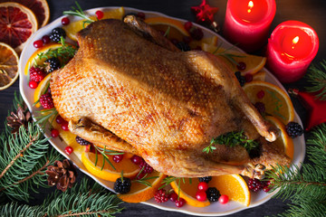 Wall Mural - Whole roasted duck with oranges, berries and herbs. Christmas decorations. Dish for Christmas Eve. View from above, top view