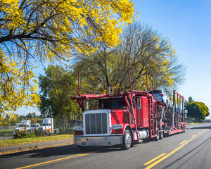 Red big rig car haul semi truck transporting car on semi trailer running on autumn road in sunny day