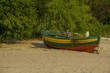Colorful dinghy boat at the sandy shore under the inclining trees