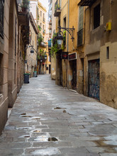 Barcelona, Spain - August 2019: Empty Narrow Street, Long View. Pavement With Plashes Between Buildings. Green Plants On Balconies. Vintage Lighting On Wall. Selective Soft Focus. Blurred Background