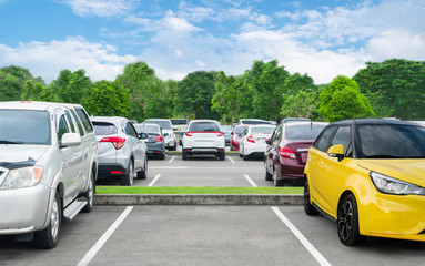 Wall Mural - Car parked in asphalt parking lot