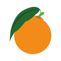 Sticker - orange fruit icon, flat design