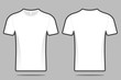 © antoniofrancois - White T-shirt Blank Front and Back Illustration Vector