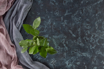 Wall Mural - Chalkboard rough texture is draped with fabrics of discreet colors and a small bouquet of green leaves with free space for text. Perfect background for your banner.