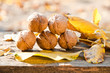 © physyk - Walnuts and fallen walnut leaves on an old rustic wooden table
