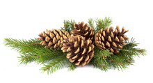 Pine Cones And Fir Tree Branch On A White Background