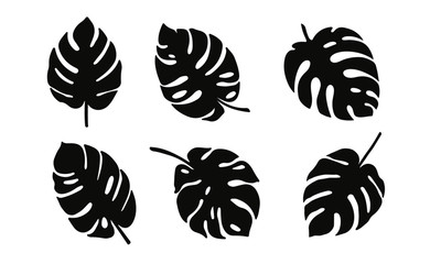 set of black silhouettes of tropical leaves. monstera