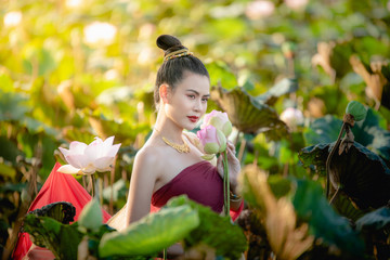 Wall Mural - Asian woman collecting lotus flowers and she wear Traditional Thai dresses, Thailand