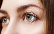 Digital female eye in process of scanning.
