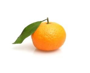 Mandarins with fresh green sprig isolated on white background