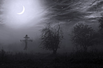 Wall Mural - Night foggy mystical garden and a scarecrow against the backdrop of the new moon