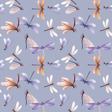 Watercolor Vector Summer Dragonfly Insect Colourful Seamless Pattern