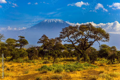 Cuadros en Lienzo Amboseli is a biosphere reserve